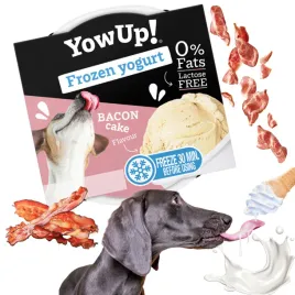 lody-dla-psa-przysmak-na-lato-yow-up-o-aromacie-bekonu-do-mrozenia-na-upal