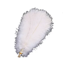 piora-strusie-piora-strusia-45-50cm-1szt
