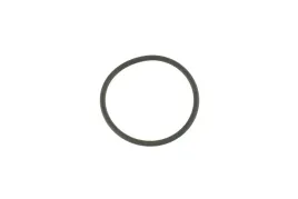 oring-pompa-wspomagania-iveco-daily-06-