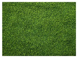 1kg-glopex-algen-gran-granulat-ze-spirulina-pokarm-dla-ryb-05-08mm