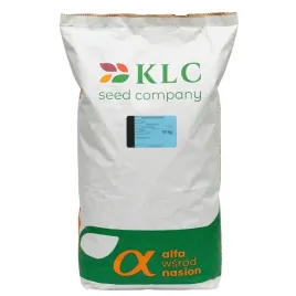 klc-kupkowka-pospolita-berta-10kg-trawa-pastewna-nasiona-kwalifikowane-c1