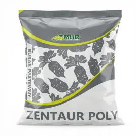 burak-pastewny-zentaur-poly-1kg-nasiona-mhr-bialy
