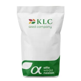 klc-rzodkiew-oleista-5kg-nasiona-poplon-przedplon-zielony-nawoz