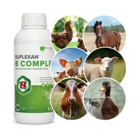 suplexan-b-complex-intermag-1l-witaminy-b-dla-zwierzat-metabolizm-watroba