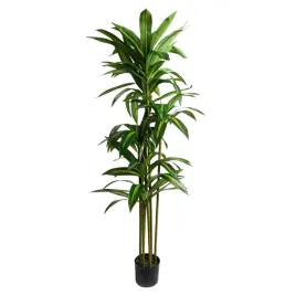 roslina-sztuczna-drzewko-greenora-egzotyczna-dracena-160cm-w-doniczce-homla