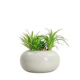 roslina-sztuczna-dekoracja-accio-sukulent-w-donicy-19-cm-homla