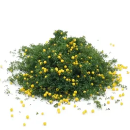 posypka-z-owocami-liscie-drzew-listowie-zielen-na-makiete-20g-0937