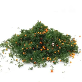 posypka-z-owocami-liscie-drzew-listowie-zielen-na-makiete-20g-0941