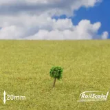drzewo-20