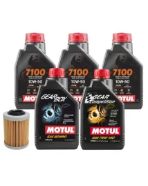 zestaw-komplet-olejow-filtr-oleju-oem-qj-motor-sfa-1000-600-syntetyczne