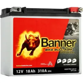 banner-etx20l-12v-18ah-52001-p