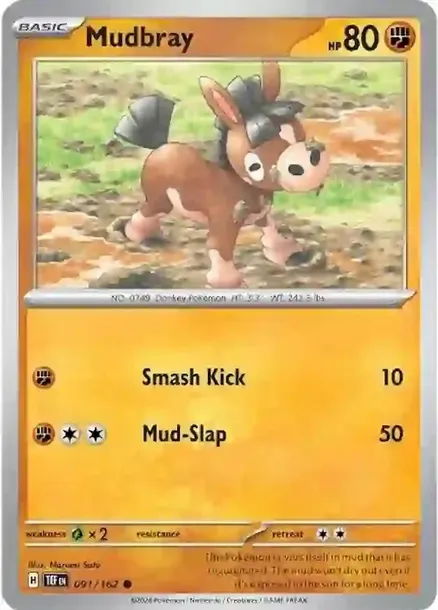 mudbray-tef-091-218-normal-temporal-forces