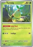 turtwig-tef-010-218-normal-temporal-forces