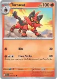 torracat-tef-033-218-normal-temporal-forces