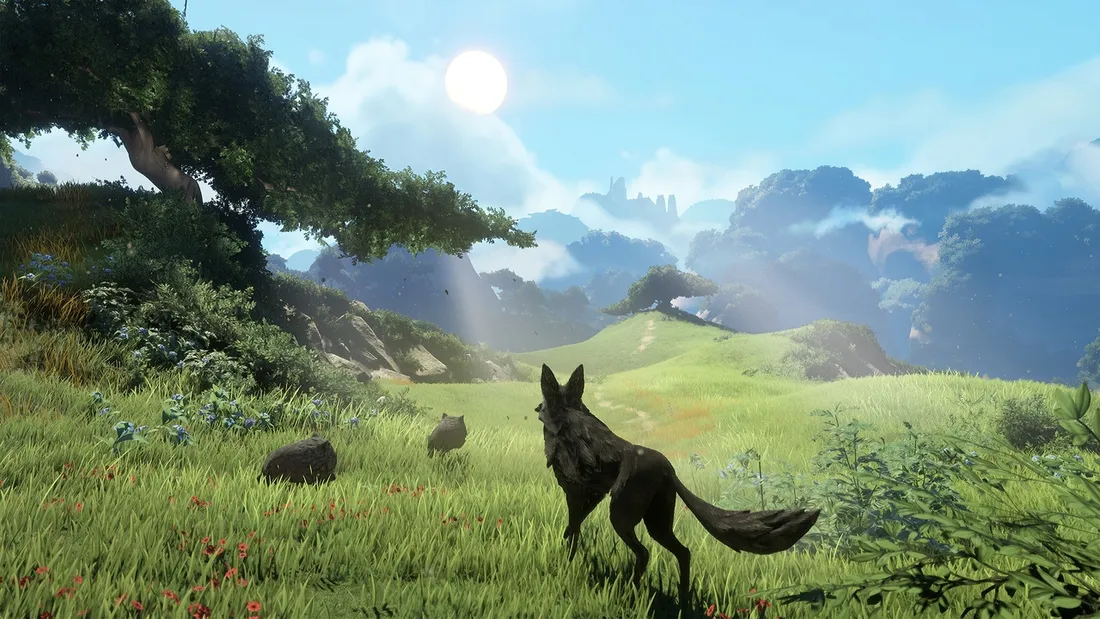 lost-ember-wolf-pack-edition-ps5-stan-nowy