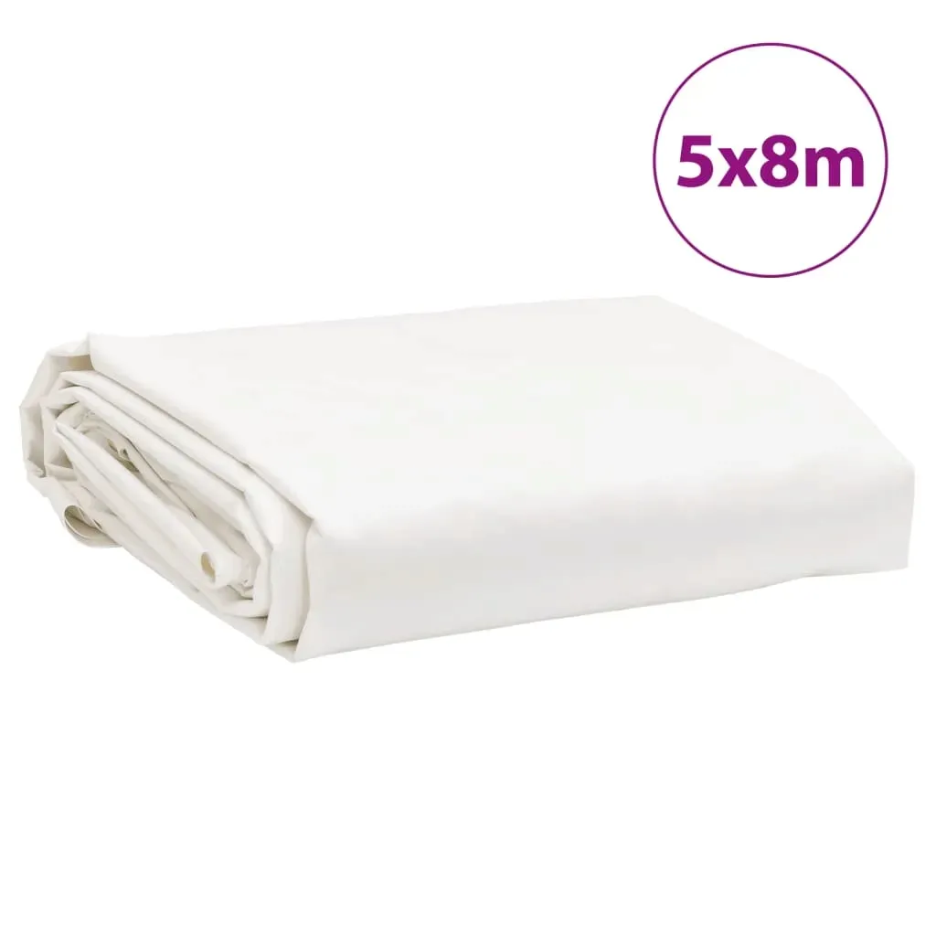 plandeka-biala-5x8-m-650-g-m