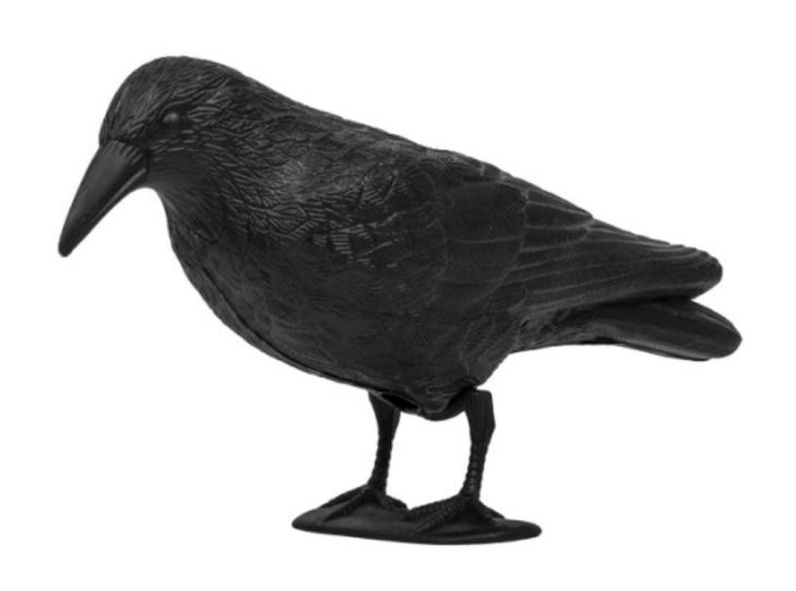 Odstraszacz ptaków Kruk gołębi szpaków DUŻY 40cm