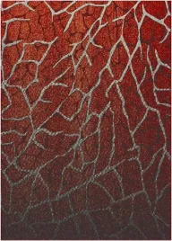 dywan-fd-gizel-katpa-bordo-200x280cm-dywany-fd
