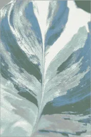 dywan-fd-sensi-cala-mietowy-80x150cm-dywany-fd