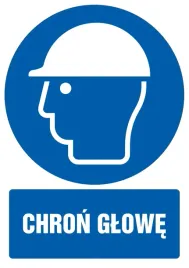 znak-tdc-chron-glowe