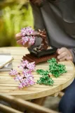 lego-botanicals-drzewko-bonsai
