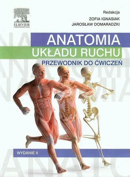 ANATOMIA UKŁADU RUCHU PRZEWODNIK DO ĆWICZEŃ - Ignasiak Zofia, Domaradzki Jarosław