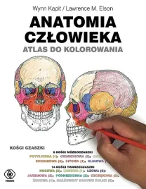 anatomia-czlowieka-atlas-do-kolorowania-wynn-kapitlawrence-m-elson
