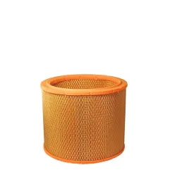 filtr-powietrza-filtron-ar-200-1