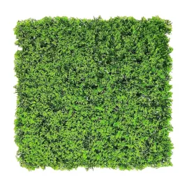 panel-oslonowy-zywoplot-tuja-decoteam-50-x-50-cm