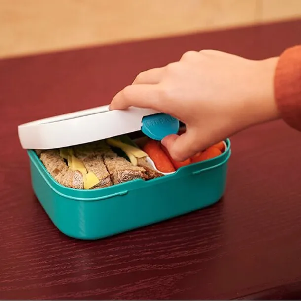 lunch-box-campus-auta-plastikowy