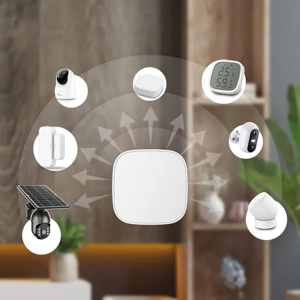 bramka-extralink-smart-home