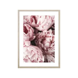 obraz-w-ramie-50-x-70-cm-peonie