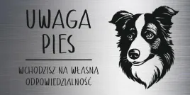 tabliczka-laminat-20x10-cm-uwaga-pies-border-collie-z-grawerem