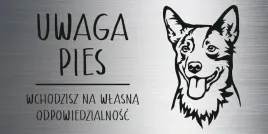 tabliczka-laminat-20x10-cm-uwaga-pies-austaralian-cattle-dog-z-grawerem