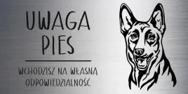 tabliczka-20x10-cm-uwaga-pies-owczarek-belgijski-laminat-z-grawerem