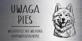 tabliczka-20x10-cm-uwaga-pies-samoyed-laminat-z-grawerem