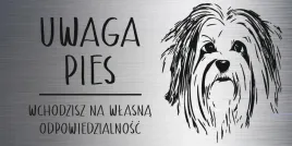 tabliczka-20x10-cm-uwaga-pies-hawanczyk-laminat-z-grawerem