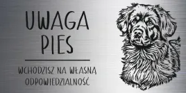 tabliczka-20x10-cm-uwaga-pies-nowofundland-laminat-z-grawerem