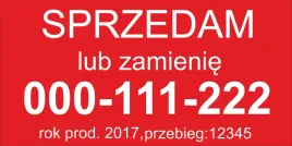 sprzedam-zamienie-magnes-na-samochod-auto-2szt-50x30-cm
