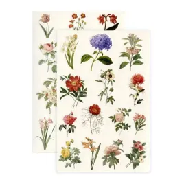 naklejki-letnie-kwiaty-4-arkusze-120x180mm-54szt-galeria-papieru-254049