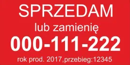 sprzedam-zamienie-magnes-na-samochod-auto-2szt