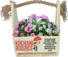 podziekowanie-dla-rodzicow-prezent-skrzynia-kwiaty