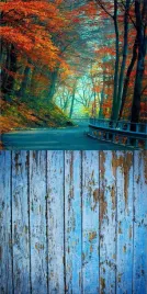 tlo-fotograficzne-jesien-liscie-drzewa-150x300-cm