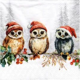serwetka-do-decoupage-33x33cm-wise-owls-sowy-w-czapkach-1szt