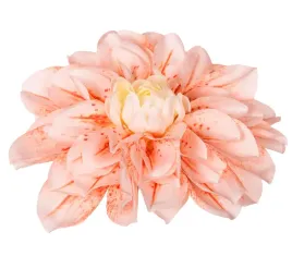 dalia-glowka-lososiowo-kremowa