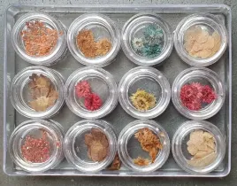 kwiatki-suszone-do-wtapiania-w-sloiczku-mix-wzorow-12szt-or-na383l
