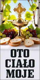 baner-religijny-120x60-cm-dekoracja-boze-cialo-oto-cialo-moje