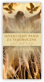 baner-religijny-300x150-rozne-wzory-baner-z-motywem-dozynek-swieto-plonow