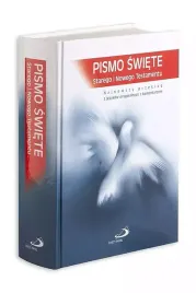 pismo-sw-st-i-nt-standard-format-twarda-oprawa-paginatory-praca-zbiorowa