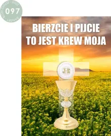 baner-na-boze-cialo-dekoracja-oltarza-gotowy-wzor